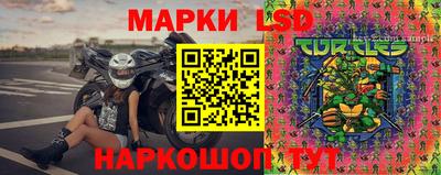 индика Пугачёв