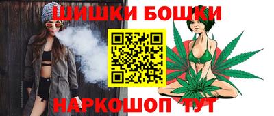 индика Пугачёв