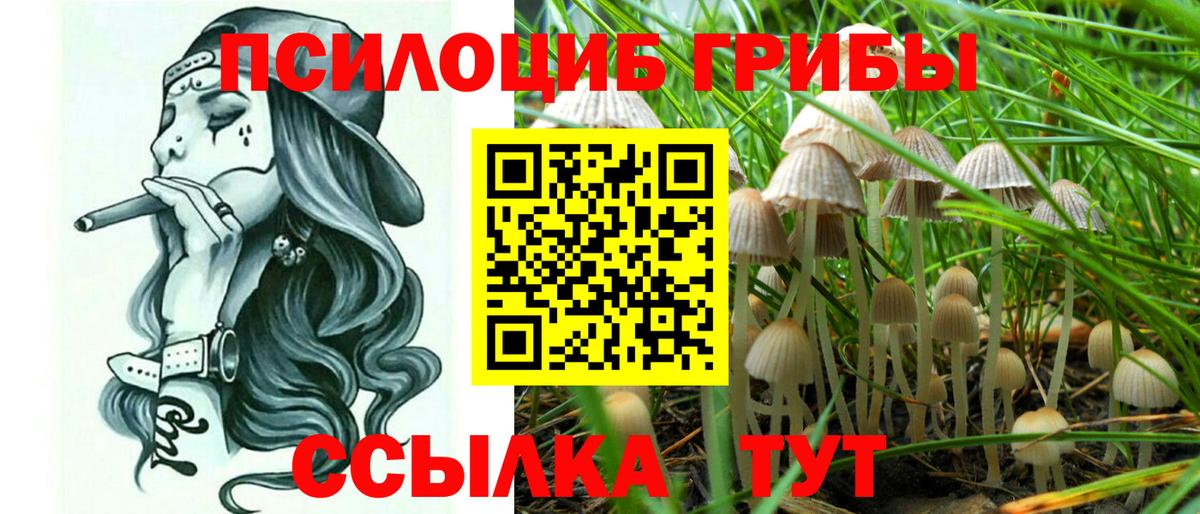 Псилоцибиновые грибы GOLDEN TEACHER Сальск