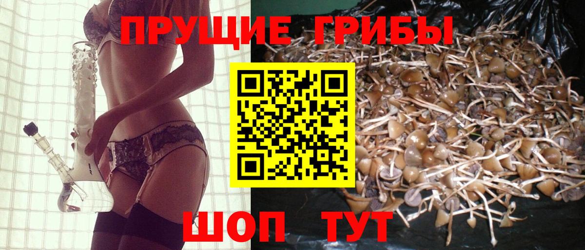 КОКАИН  ГАШИШ  Сальск  МЕТАДОН  Бошки Шишки  Меф МЯУ МЯУ кристаллы  Alpha PVP СОЛЬ кристаллы  Вход с VPN  Экстази 