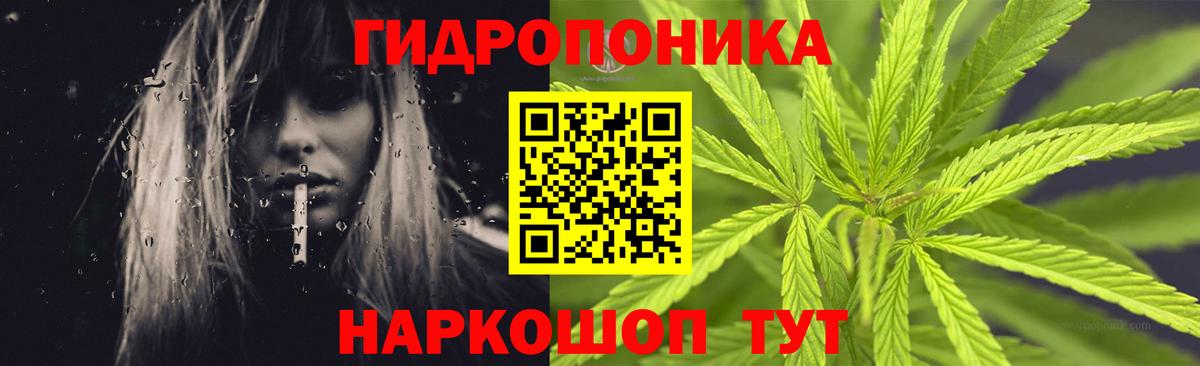 Каннабис MAZAR  Вход с VPN  Марихуана SATIVA & INDICA  Сальск  Бошки марихуана ГИДРОПОН 